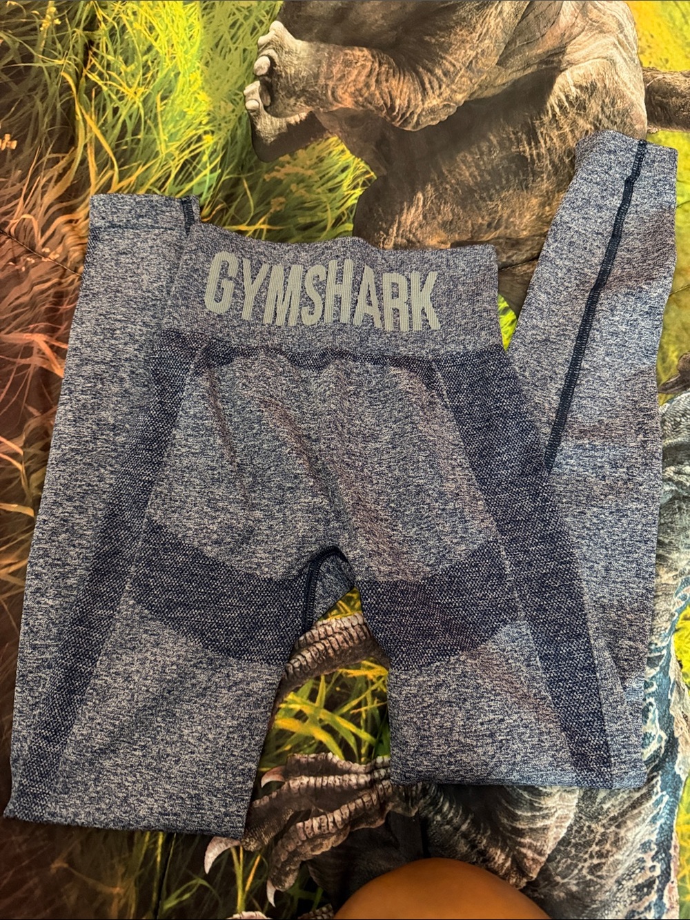 Gymshark Heather Blue Seamless Leggings